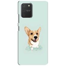 Чохли з собаками для Samsung Galaxy S10 Lite (VPrint) (Коргі)