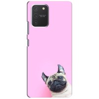 Бампер для Samsung Galaxy S10 Lite с картинкой "Песики" (Собака на розовом)