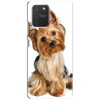 Чехол (ТПУ) Милые собачки для Samsung Galaxy S10 Lite – Собака Терьер