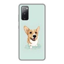 Чехлы с собаками для Samsung Galaxy S20 FE (VPrint) (Корги)