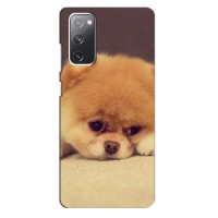 Чехол (ТПУ) Милые собачки для Samsung Galaxy S20 FE (Померанский шпиц)