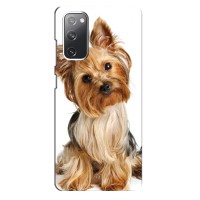 Чехол (ТПУ) Милые собачки для Samsung Galaxy S20 FE (Собака Терьер)