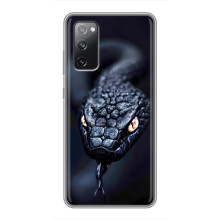 Чохол з картинкою 'Хижаки' для Samsung Galaxy S20 FE (Змія)