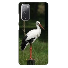 Силіконовий бампер з птичкою на Samsung Galaxy S20 FE – Лелека