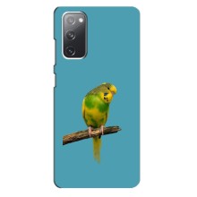 Силіконовий бампер з птичкою на Samsung Galaxy S20 FE – Попугайчик