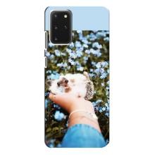 Чохли з зображенням різних тварин на Samsung Galaxy S20 Plus (Їжачок в руці)