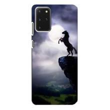 Чохли з зображенням різних тварин на Samsung Galaxy S20 Plus (Кінь)