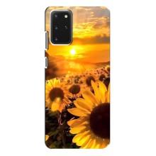 Чехол с Цветами для Samsung Galaxy S20 Plus (поле подсолнухов)