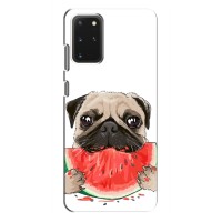 Чехол (ТПУ) Милые собачки для Samsung Galaxy S20 Plus (Смешной Мопс)
