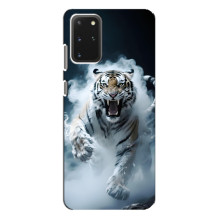 Чехол с картинкой «Хищники» для Samsung Galaxy S20 Plus – Тигр