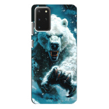 Чехол с картинкой «Хищники» для Samsung Galaxy S20 Plus – Медведь