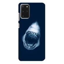 Силіконовий бампер з картинкою звірів для Samsung Galaxy S20 Plus (Пащу Акули)
