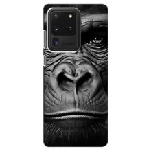 Чохли з Горилою на Самсунг С20 Ультра – Чорна мавпа