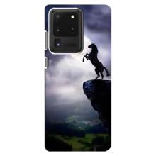 Чехлы с изображением разных животных для Samsung Galaxy S20 Ultra (Лошадь)