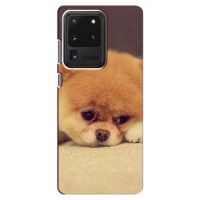 Чехол (ТПУ) Милые собачки для Samsung Galaxy S20 Ultra (Померанский шпиц)