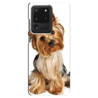 Чехол (ТПУ) Милые собачки для Samsung Galaxy S20 Ultra (Собака Терьер)