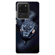 Чехол с картинкой «Хищники» для Samsung Galaxy S20 Ultra – Змея