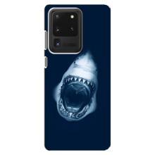 Силиконовый бампер с картинкой животных для Samsung Galaxy S20 Ultra (Пасть Акулы)