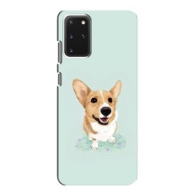Чехлы с собаками для Samsung Galaxy S20 (VPrint) (Корги)