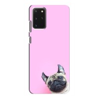 Бампер для Samsung Galaxy S20 с картинкой "Песики" (Собака на розовом)