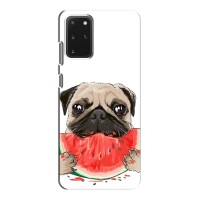 Чехол (ТПУ) Милые собачки для Samsung Galaxy S20 (Смешной Мопс)