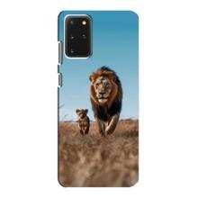 Чехол Король лев на Самсунг С20 – Мусафа и Симба