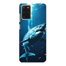 Чехол с картинкой «Хищники» для Samsung Galaxy S20 – Акула