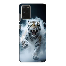 Чехол с картинкой «Хищники» для Samsung Galaxy S20 – Тигр