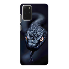 Чехол с картинкой «Хищники» для Samsung Galaxy S20 – Змея
