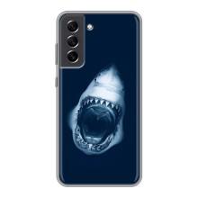 Силиконовый бампер с картинкой животных для Samsung Galaxy S21 FE (Пасть Акулы)