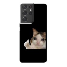 Бампер з принтом Меми для Samsung Galaxy S21 Plus (Кіт у сльозах)