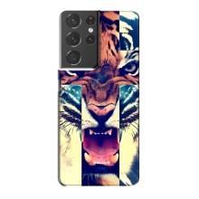 Чехлы с изображением разных животных для Samsung Galaxy S21 Plus (Яркий Тигр)