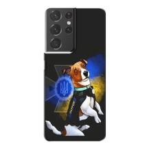 Чохли з картинкою собаки Патрон для Samsung Galaxy S21 Plus (AlphaPrint) (Патрон собачка)