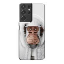 Чохли з Мавпами NFT для Samsung Galaxy S21 Plus (AlphaPrint) (мавпа NFT в тату)