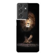 Чохол з картинкою ЛЕВ для Samsung Galaxy S21 Plus (VPrint) (Лев)