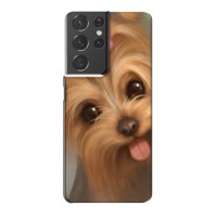Чехол (ТПУ) Милые собачки для Samsung Galaxy S21 Plus (Йоршенский терьер)