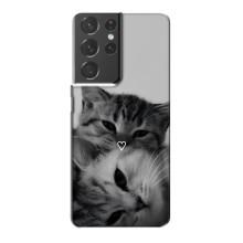 Чехол с рисунком кот на Samsung Galaxy S21 Plus – Пара котов