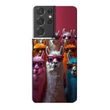 Чохол з принтом стильні тварини для Самсунг Галаксі S21 Plus (Лами в окулярах)