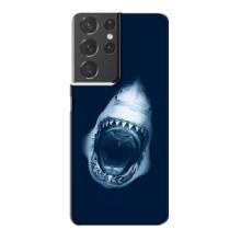Силиконовый бампер с картинкой животных для Samsung Galaxy S21 Plus (Пасть Акулы)
