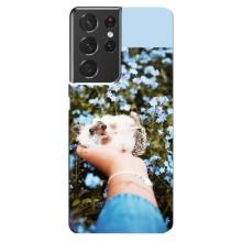 Чохли з зображенням різних тварин на Samsung Galaxy S21 ultra (Їжачок в руці)