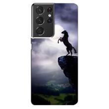 Чохли з зображенням різних тварин на Samsung Galaxy S21 ultra (Кінь)