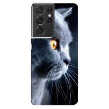Чохли з Котиками для Samsung Galaxy S21 ultra (VPrint) (Сірий Кіт)