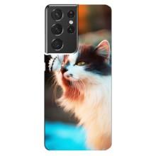 Чохол на Самсунг Ґелексі S21 ультра з Котиками (VPrint) (Котик з метеликом)