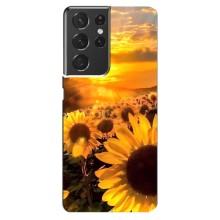 Чехол с Цветами для Samsung Galaxy S21 ultra (поле подсолнухов)