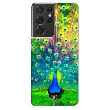 Чохол з пташками на Samsung Galaxy S21 ultra (VPrint) (Яскравий Павлин)
