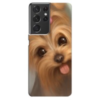 Чехол (ТПУ) Милые собачки для Samsung Galaxy S21 ultra (Йоршенский терьер)