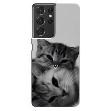 Чохол з малюнком кіт на Samsung Galaxy S21 ultra (Пара котів)