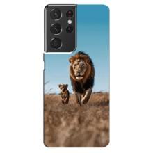 Чехол Король лев на Самсунг S21 Ультра – Мусафа и Симба