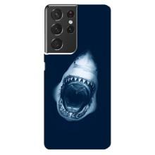 Силіконовий бампер з картинкою звірів для Samsung Galaxy S21 ultra (Пащу Акули)