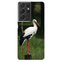 Силиконовый чехол с птичкой на Samsung Galaxy S21 ultra – Лелека